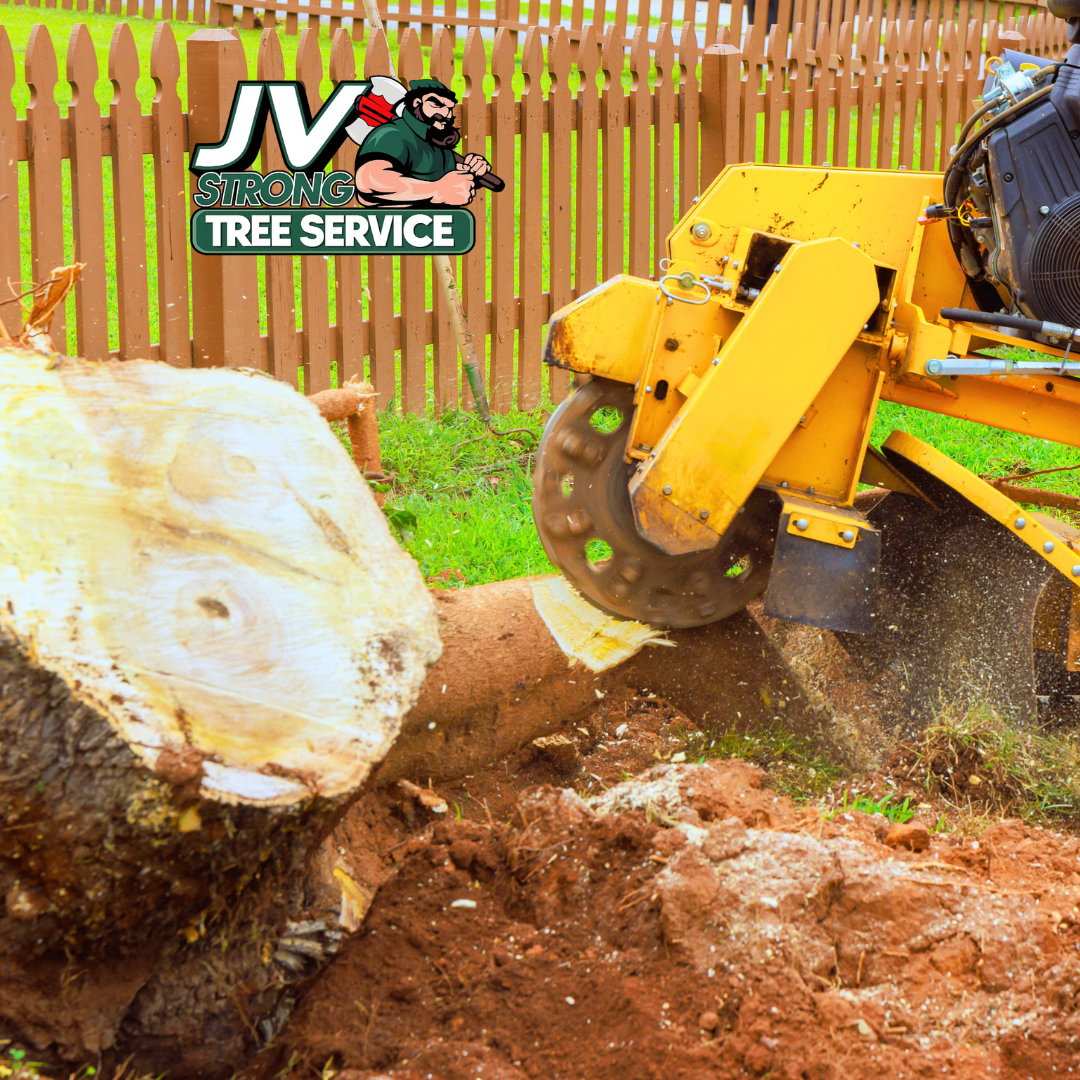 Tree Removal Service